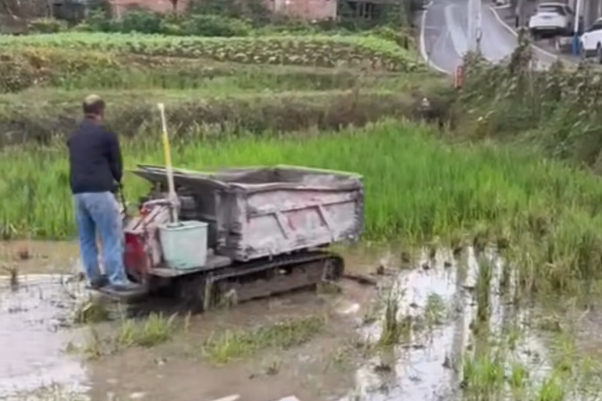Agriculture application